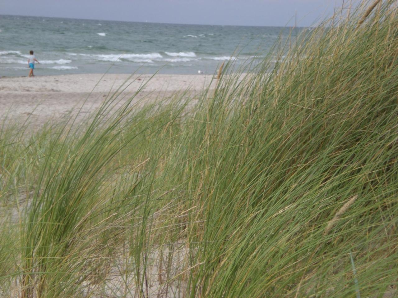 Achtern - Diek - Am Strand Zingst Exterior photo