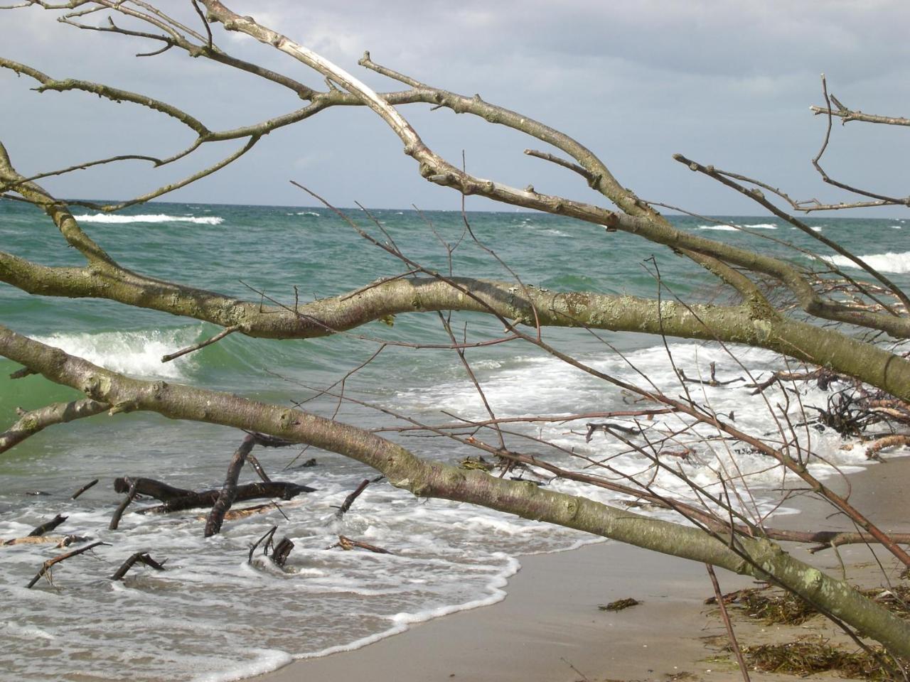 Achtern - Diek - Am Strand Zingst Exterior photo